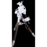 Монтировка SKY-WATCHER EQ6-R SYNSCAN GOTO со стальной треногой